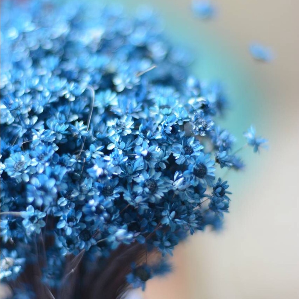 Meet your Posher, Emira